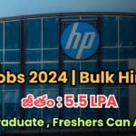HP Jobs 2024
